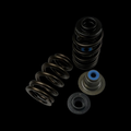 Brian Crower BC0900SX - Polaris XP Turbo (16-up) / XP 1000 (14-up) Beehive Spring/Steel Retainer/Seal Kit w/o Seats