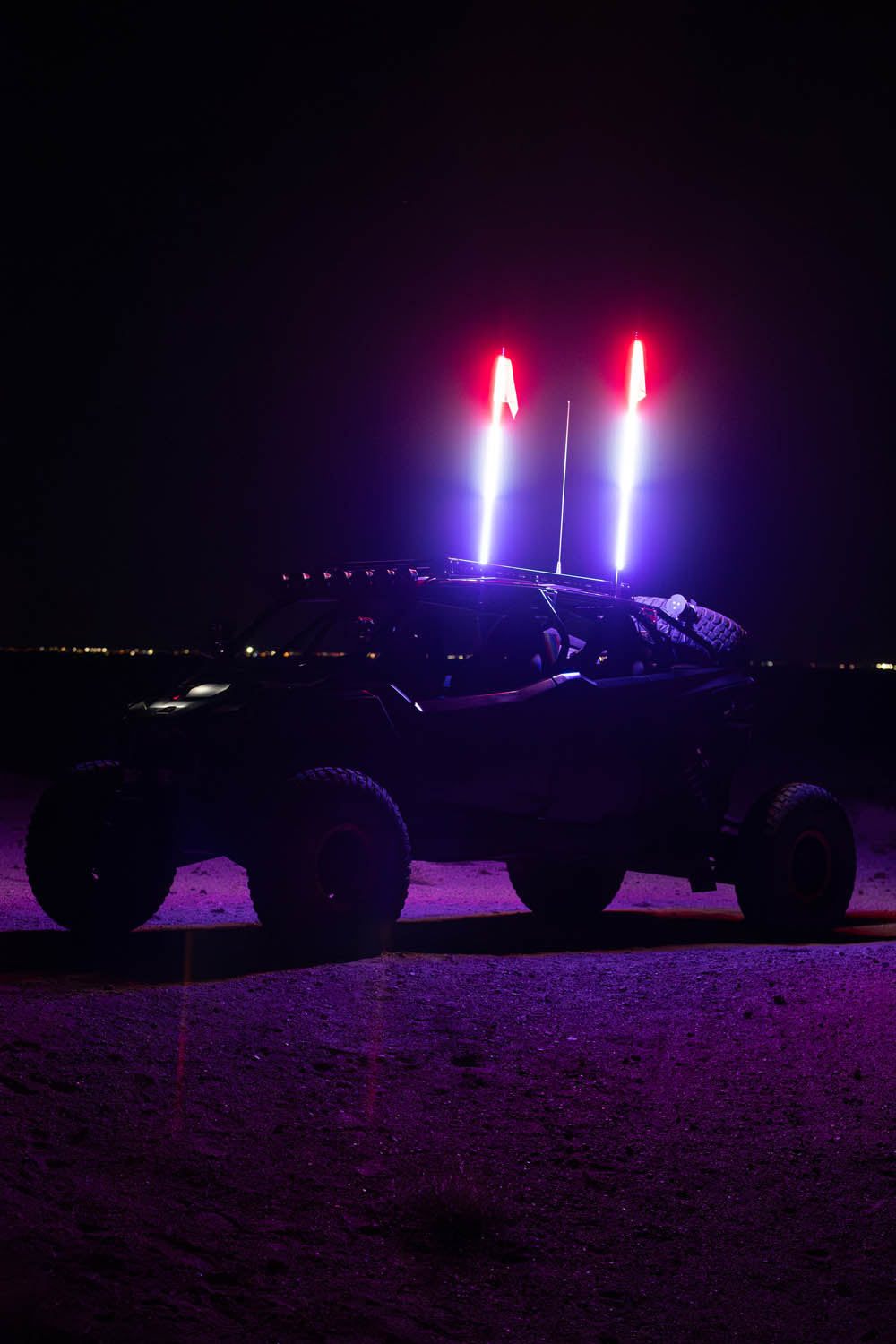 Buggy Whip LED Whip - product view 11