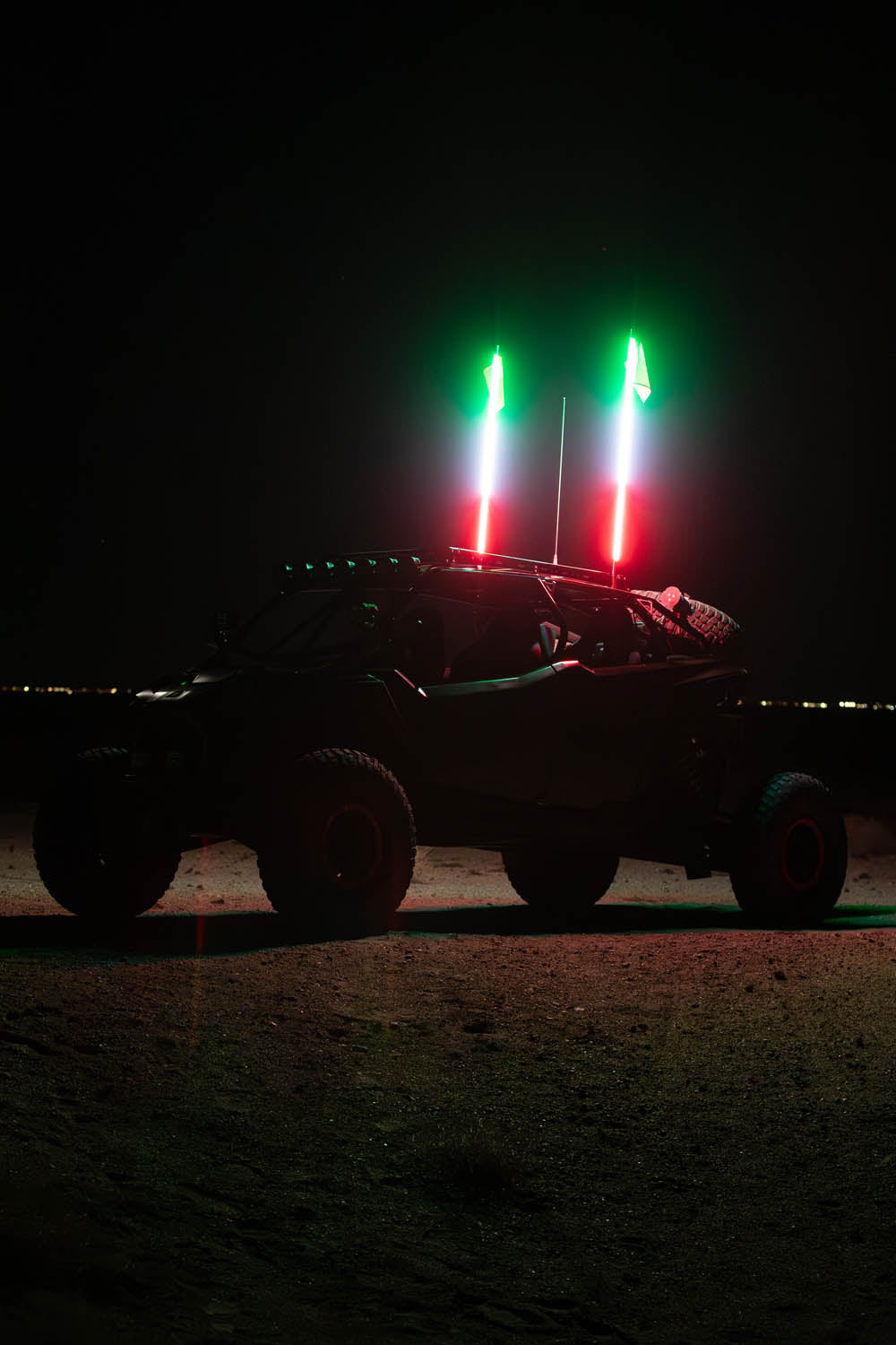 Buggy Whip LED Whip - product view 5