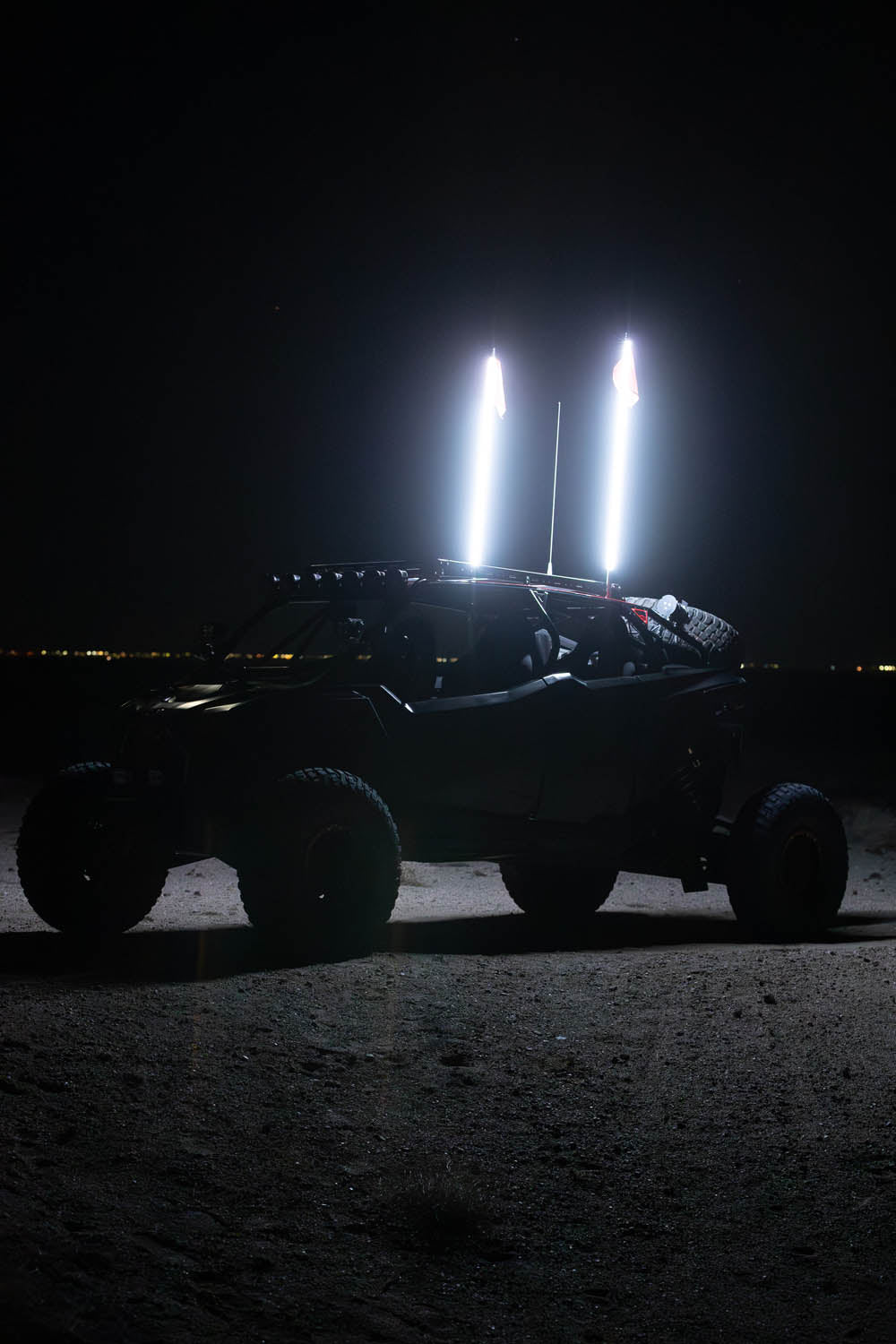 Buggy Whip LED Whip - product view 14