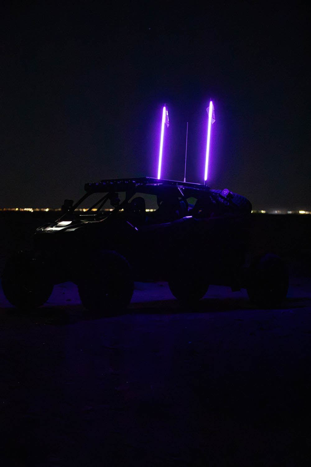 Buggy Whip LED Whip - product view 10