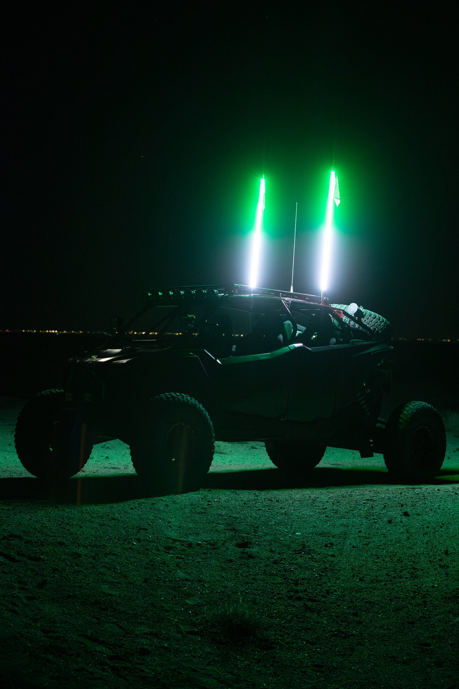Buggy Whip LED Whip - product view 6