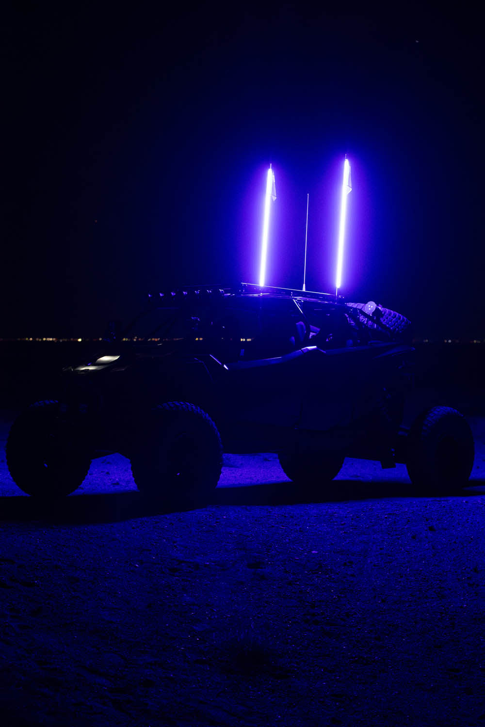 Buggy Whip LED Whip - product view 4