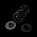 Brian Crower BC0900D-2 - Polaris Pro-R (21-up) Dual Spring/Steel Retainer/Seat Kit