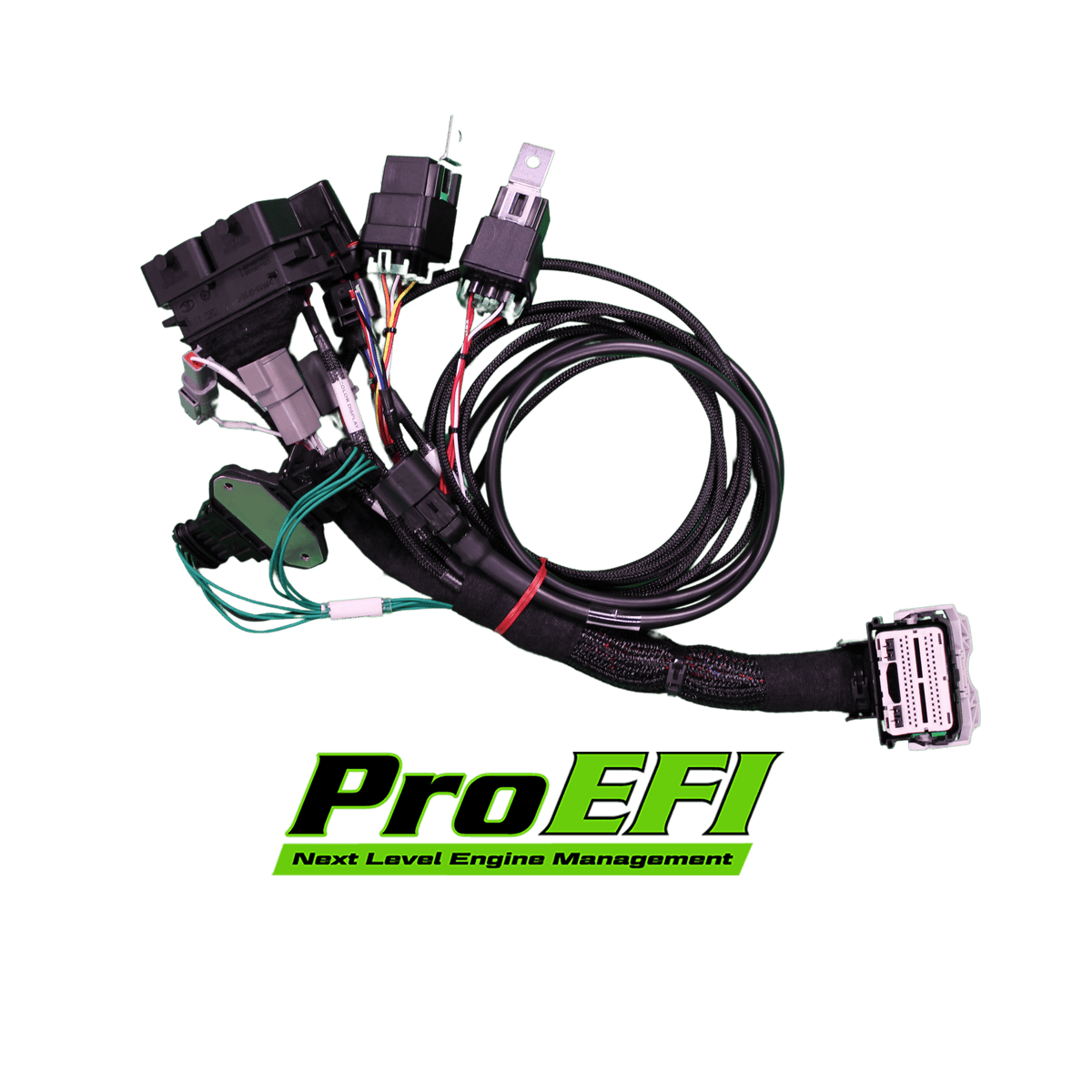 ProEFI RZR Pro R – Xpedition Adapter Harness Pro70w