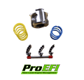 ProEFI Polaris Xpedition Clutch Kit