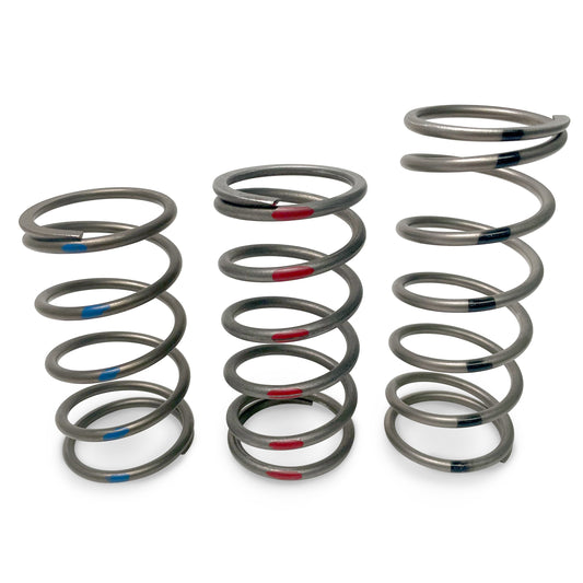 TAPP Primary Clutch Springs